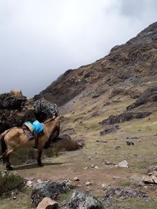 Mi a Salcantay túra?