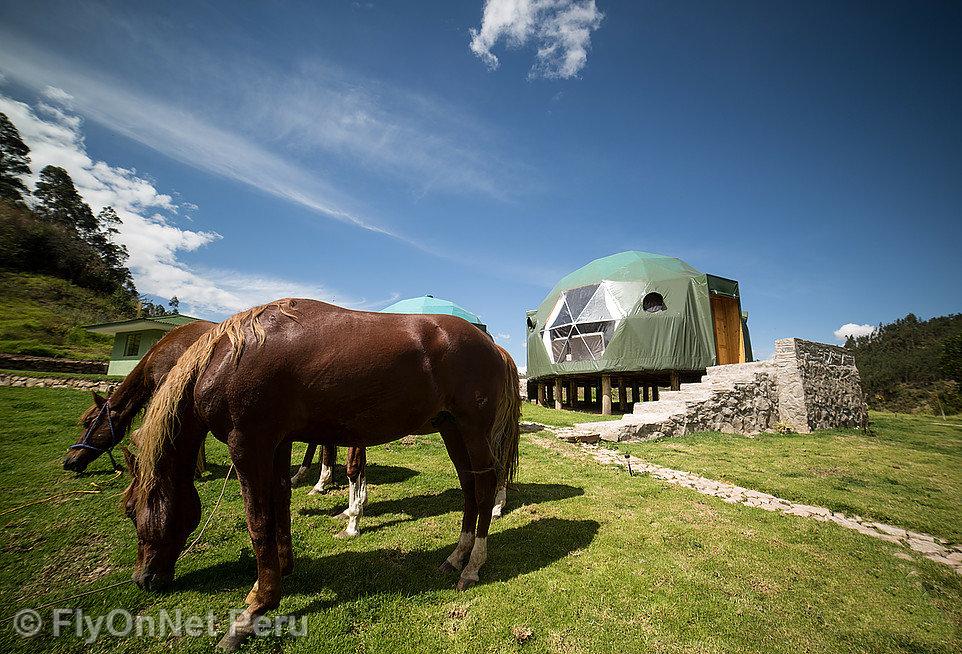 Fotóalbum: Luxuary geodesic dome