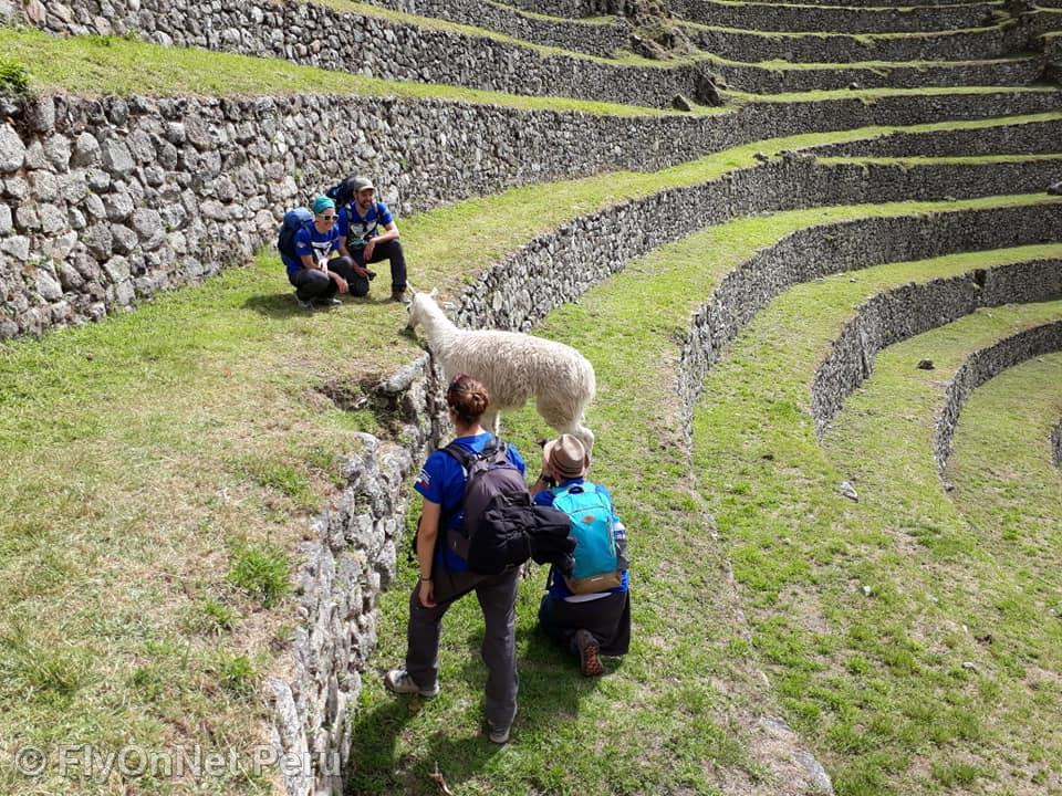 Fotóalbum: Machu Picchu